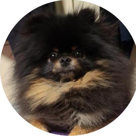 title profile picture